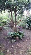 Stay.Plus 2 Bedroom Shree Apartment