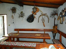 Apartment and Room Darinka