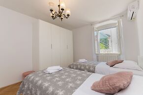 Apartments Davor
