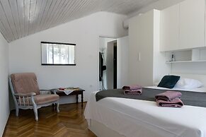 Apartments Davor