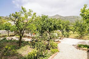 Apartments Davor