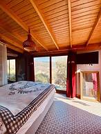 Artistic Villa With Private Pool, Bodrum, Turkey