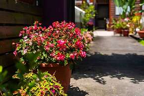 Sun star B&B