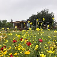 Radika Datca