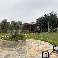 Radika Datca