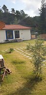 Kovan Bungalow