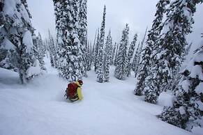 Snowy Mountain Lodge