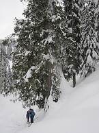 Snowy Mountain Lodge