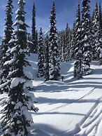 Snowy Mountain Lodge