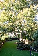 The Old Beech