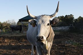 DONNAPAOLA MODERN FARM