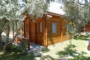 Yelkovan Zeytin Evi