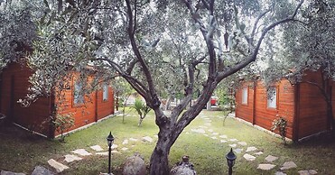 Yelkovan Zeytin Evi