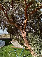Vista Garden Datca