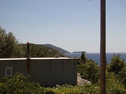 Apartment Dario