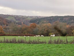 Meadowsweet
