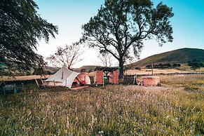 Become Wild, Edale
