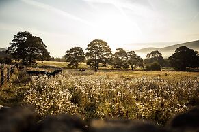 Become Wild, Edale