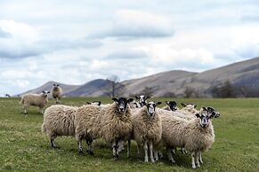 Become Wild, Edale