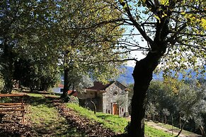 Quinta da Roda - Nature and Wellness