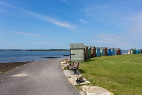 About Tern