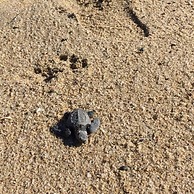 Desierto Azul