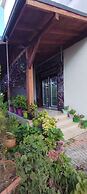 Ceneviz Suit Hotel