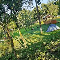 Room in B&B - Camping Retreat Mountain Sanctuary