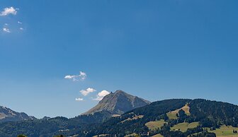 Hotel D Bulle - La Gruyère