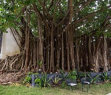La Quinta Caribeña