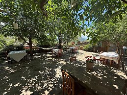 Vama Konuk Evi