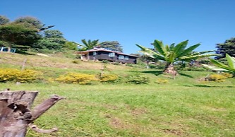 Hills Dacha