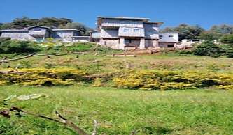 Hills Dacha