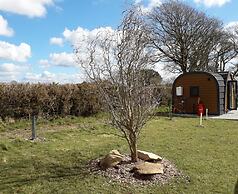 Hornbeam Eco Cabin - Sleeps 2 - Valley View