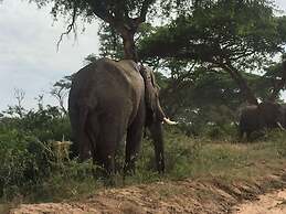 Karuma Travellers Hotel