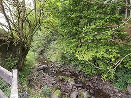Nant Y Celyn