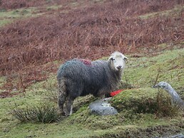 Howgills Retreat