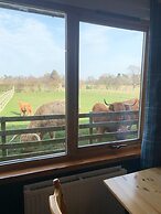 Orchard House Lodges