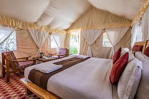 Nubra Eco Village
