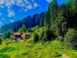 Vesile Otel