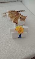 El pozo de la Nieve