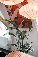 Casa Coral