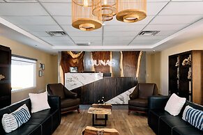 Hotel Dunas
