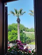 Casa Callinos