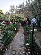 Zeytindagi Bungalow