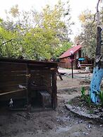 Zeytindagi Bungalow