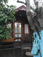 Zeytindagi Bungalow