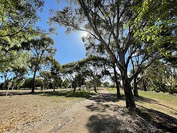Mansfield Lakeside