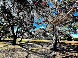 Mansfield Lakeside