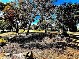 Mansfield Lakeside